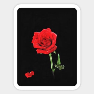 A Shiny Red Dew Rose Beautiful Flower Sticker